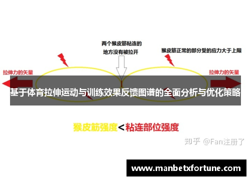 基于体育拉伸运动与训练效果反馈图谱的全面分析与优化策略